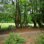 Daire Au Natur'elle