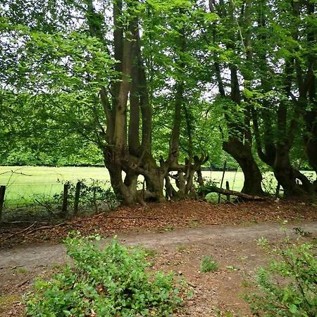 Apartamento Au Natur'elle