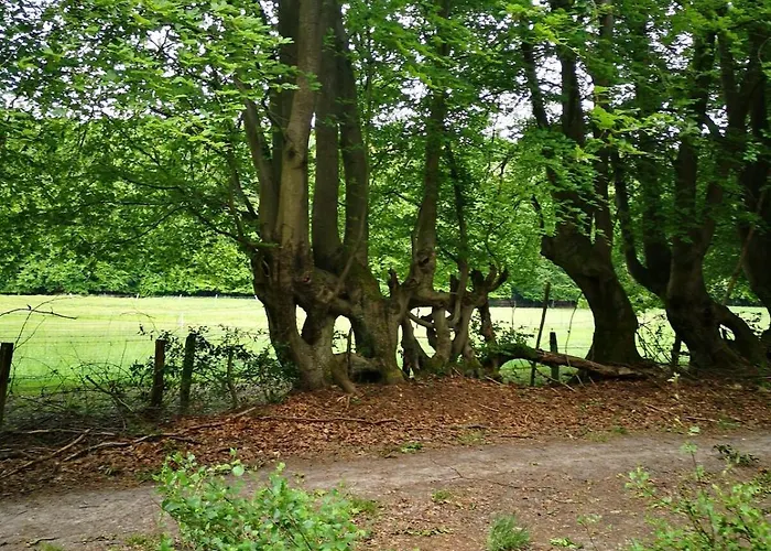 Apartment Au Natur'elle